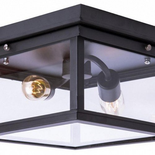 Потолочный светильник Loft IT Loft3110-2C Потолочный светильник Loft IT Loft3110-2C