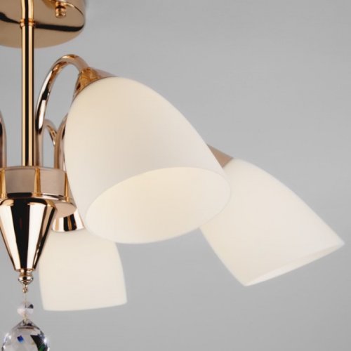 Потолочная люстра Eurosvet Ellene 30149/5