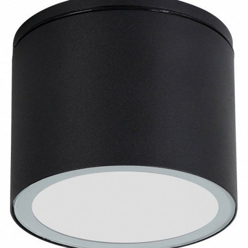 Потолочный светильник уличный Arte Lamp Piautos A1913PF-1BK