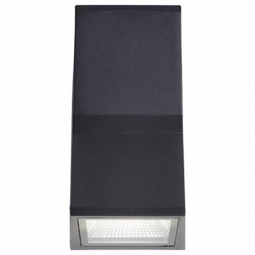 Уличный настенный светодиодный светильник ST Luce Verona SL088.431.02
