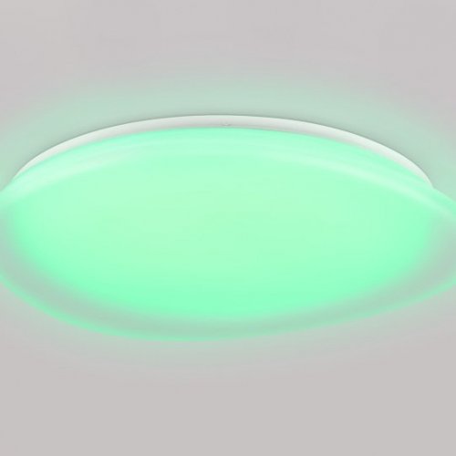 Потолочный светильник Orbital FZ1615