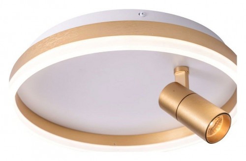 Потолочный светильник Zortes Raizy ZRS.1888.04