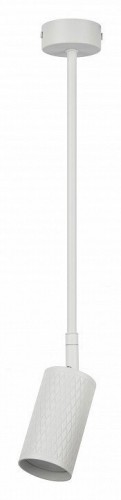 Светильник на штанге Эра OL45 WH Б0058497