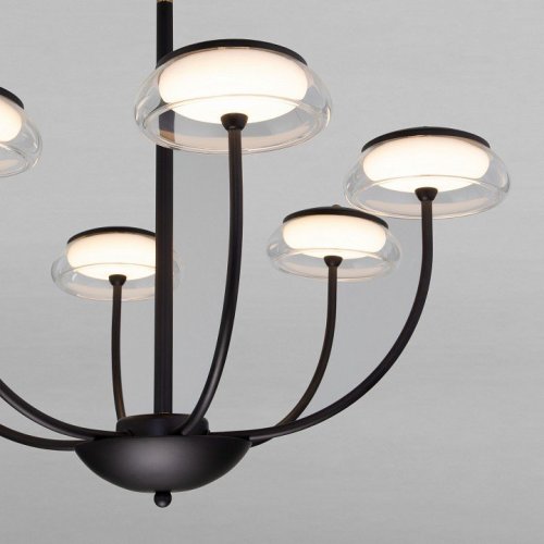 Потолочная люстра Eurosvet Fungo 50388 LED Черный