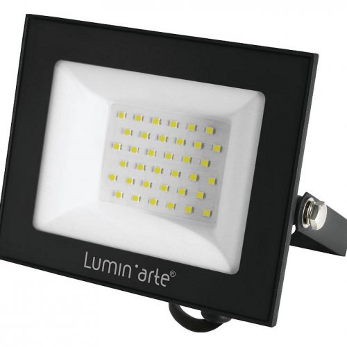 Настенно-потолочный прожектор Luminarte LFL-50W LFL-50W/06