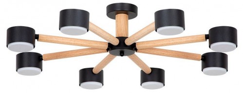 Потолочная люстра Tenda A1624PL-8BK