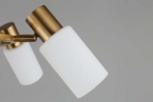 Подвесная люстра Omnilux Ales OML-69103-06