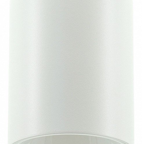 Накладной светильник LIGHTERA Shamrock LE200CL-1W Накладной светильник LIGHTERA Shamrock LE200CL-1W