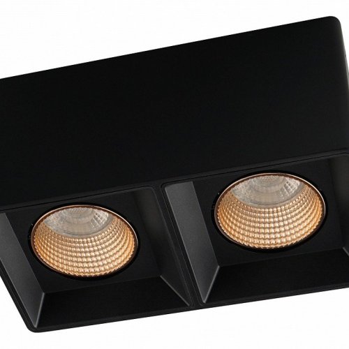 Накладной светильник Denkirs DK3085-BK+BR Накладной светильник Denkirs DK3085-BK+BR