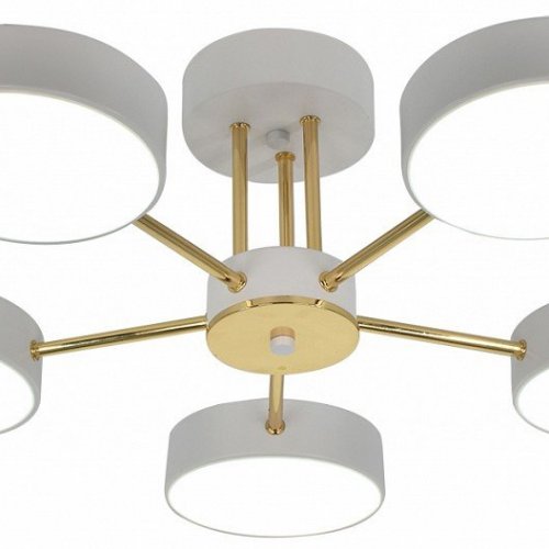 Потолочная светодиодная люстра Escada Rune 10262/5LED