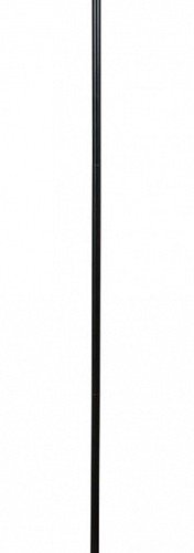 Торшер Arte Lamp Skat A7052PN-2BK