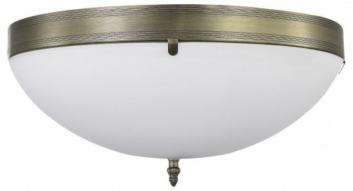 Бра MyFar Biene MR2521-3W