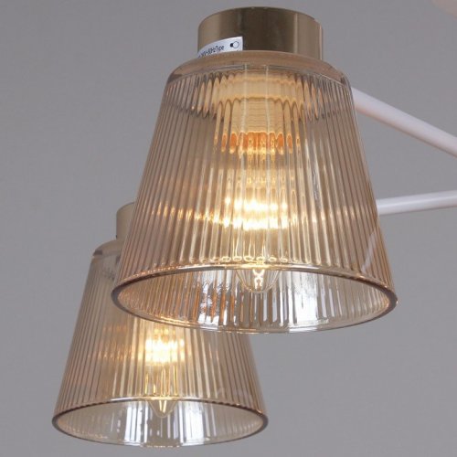 Потолочная люстра Reluce 20560-0.3-05 WH+FG