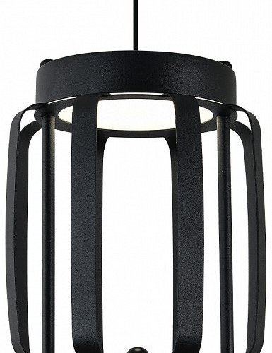 Подвесной светильник Indigo Capsula 14027/2P Black Подвесной светильник Indigo Capsula 14027/2P Black