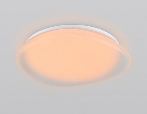 Потолочный светильник Ambrella light Orbital FZ1610