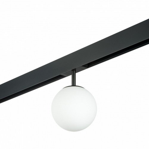 Светильник на штанге Lightstar Teta PRO110107 Светильник на штанге Lightstar Teta PRO110107