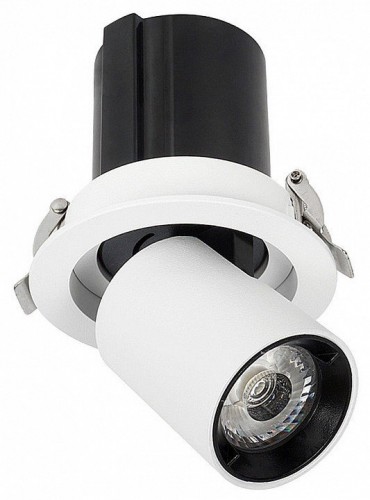 Точечный светильник Wertmark Dorsum WTD.O30.067.30.10