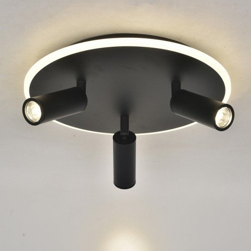 Потолочный светильник Escada 20046LED 20046SMA/03LED BK