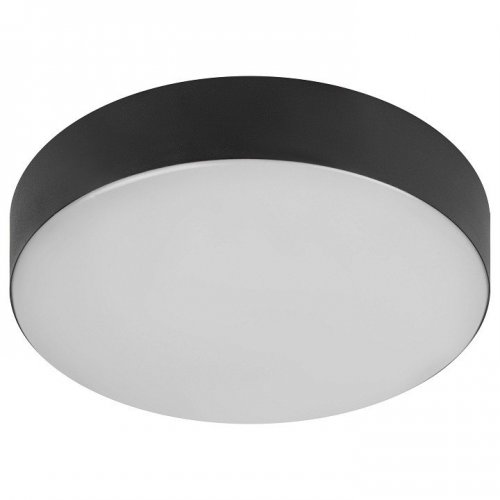 Потолочный светильник Relict 22 SPB-6-20 4К BK Потолочный светильник Relict 22 SPB-6-20 4К BK