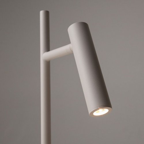 Торшер Maytoni Estudo Z010FL-L8W3K