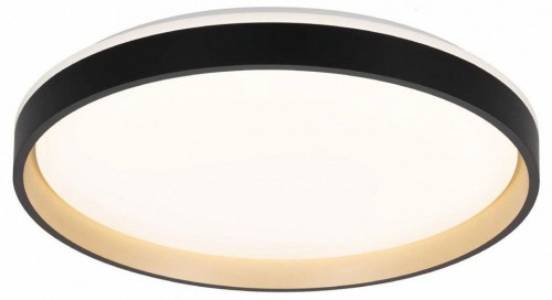 Накладной светильник Citilux ENZO CL753511G Накладной светильник Citilux ENZO CL753511G