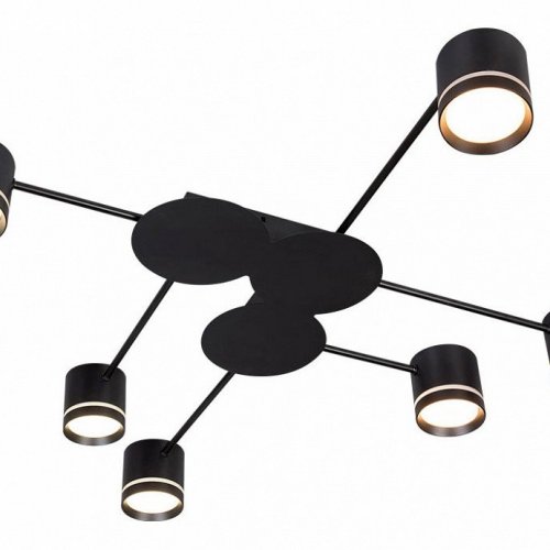 Потолочная люстра Arte Lamp Legacy A8024PL-6BK