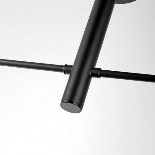 Светильник на штанге Lampit FINO TP 2007-2 BK Светильник на штанге Lampit FINO TP 2007-2 BK