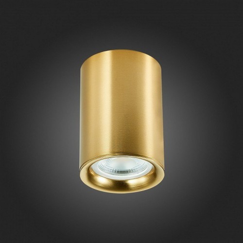 Потолочный светильник ST Luce ST114.207.01 Потолочный светильник ST Luce ST114.207.01