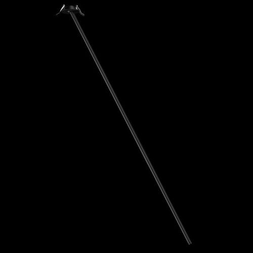 Точечный светильник Loft IT Cane 10359/1200 Black