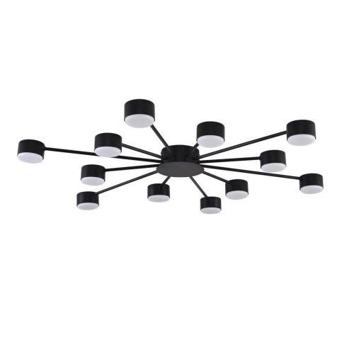 Потолочная люстра Lumion Torina 8344/12C