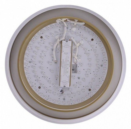 Потолочный светильник Zortes Adel ZRS.1200.01