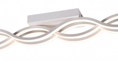 Настенно-потолочный светильник Aployt Nadayn APL.002.07.72 Настенно-потолочный светильник Aployt Nadayn APL.002.07.72