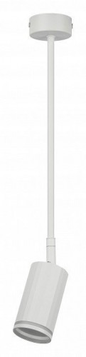 Светильник на штанге Эра OL43 WH Б0058489