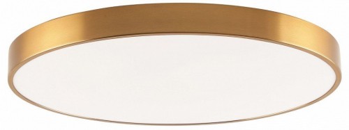 Потолочный светильник Zortes Tortty ZRS.02566.96