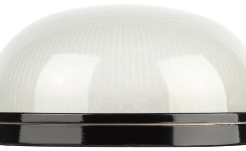 Настенно-потолочный светильник НБП 03-100-001  в инд. упаковке НБП 03-100-001 черный