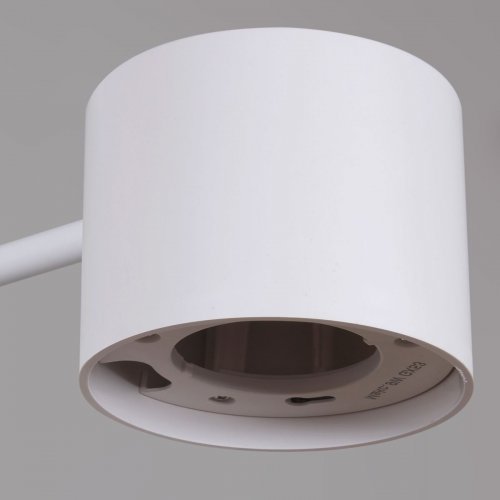 Потолочная люстра Reluce 47206-0.3-08WT