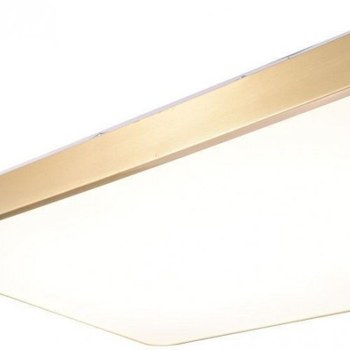 Потолочный светильник Zortes Monna ZRS.1209.09