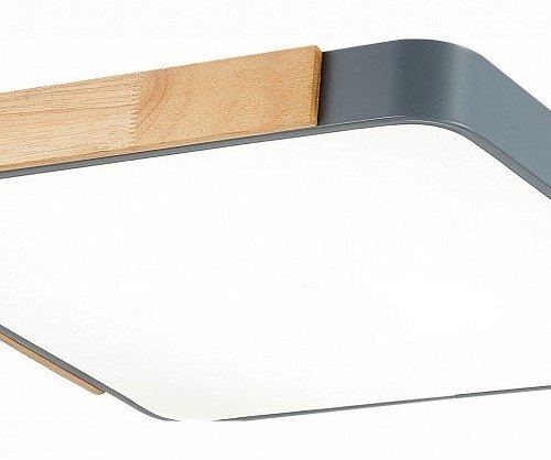 Потолочный светильник Evoluce Festa SLE201272-01