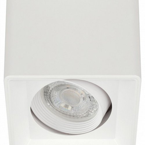 Накладной светильник Эра OL24-1 WH Б0054381 Накладной светильник Эра OL24-1 WH Б0054381