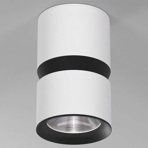 Потолочный светодиодный светильник Elektrostandard Kayo 25049/LED 12W 4000К белый/черный a064731