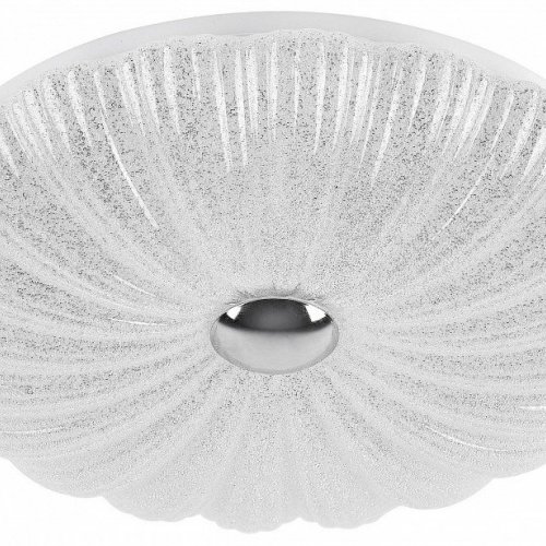 Накладной светильник Lightstar Arco Shell 225650 Накладной светильник Lightstar Arco Shell 225650