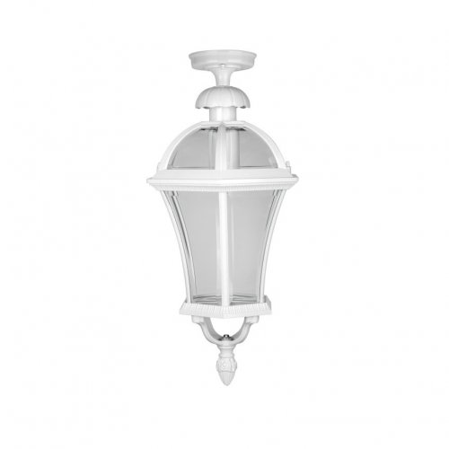 Потолочный светильник уличный Oasis Light ROMA L 95205LA W