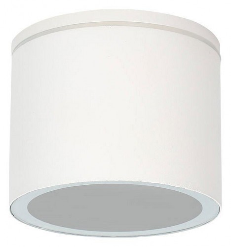 Потолочный светильник уличный Arte Lamp Piautos A1913PF-1WH