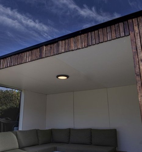 Потолочный светильник уличный Oasis Light SIDNEY LED W3922 Gr