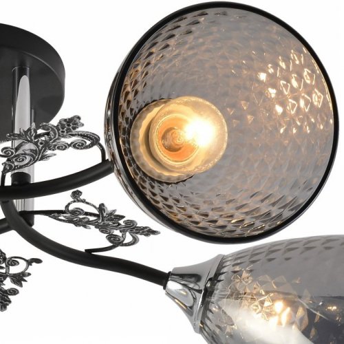 Потолочная люстра  01525-0.3-05 BK+CR