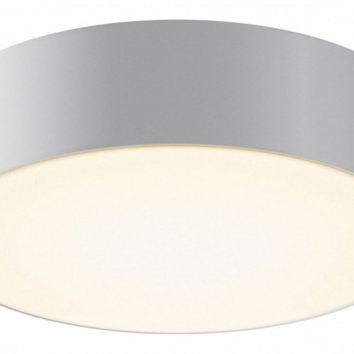 Потолочный светильник уличный Zon IP O431CL-L30W3K