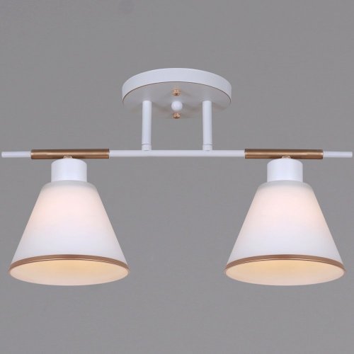 Потолочная люстра Reluce 07594-0.3-02 WG