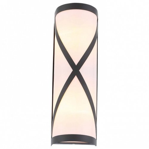 Уличный настенный светильник ST Luce Agio SL076.411.01