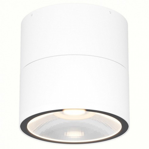 Потолочный светильник уличный Maytoni Spin O310CL-L12W3K