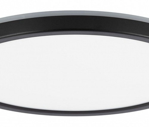 Настенно-потолочный светильник Citilux Basic Line CL738241EL